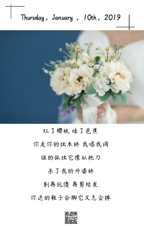 简约个性小清新日签