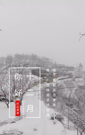 十二月你好简约励志坚持日签
