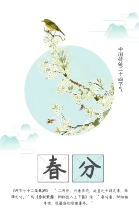 春分白色简约二十四节气手机海报