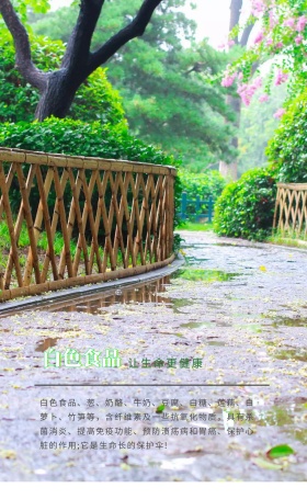 食物营养