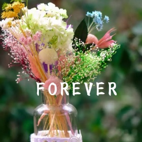 FOREVER拼接简约手机微博封面模板