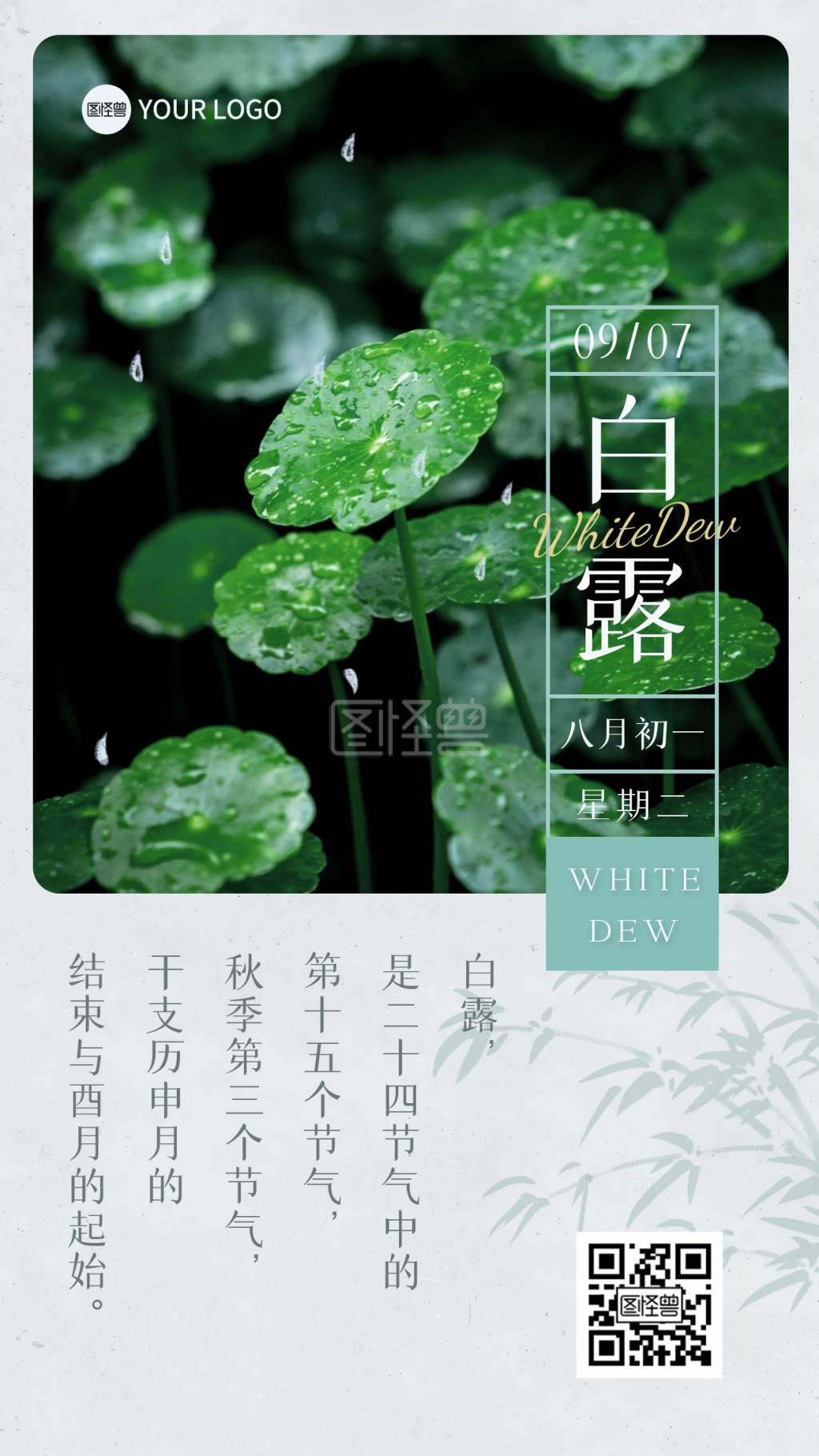 日历风白露节气摄影植物早安祝福日签海报