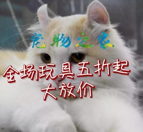 萌宠宠物可爱动物朋友圈封面