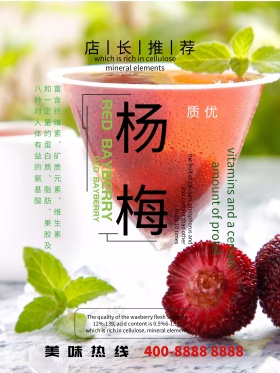 杨梅促销海报