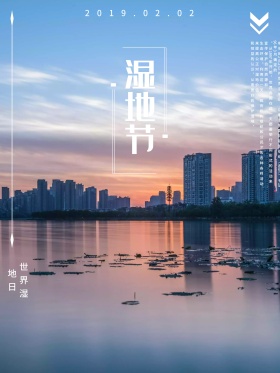湿地节蓝色原创插画小船扁平节日宣传海报