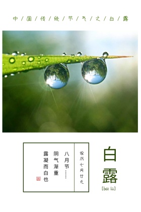 传统二十四节气白露绿色竖版配图