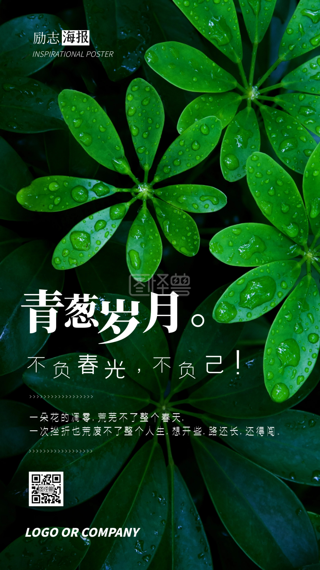 企业内部管理青葱岁月努力有收获励志海报