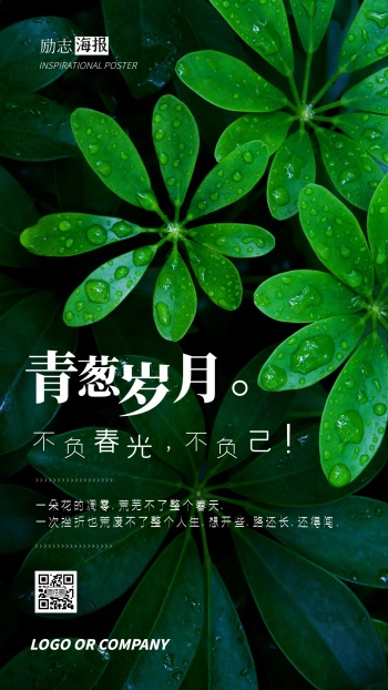 企业内部管理青葱岁月努力有收获励志海报