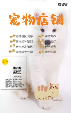 宠物萌宠猫狗海报
