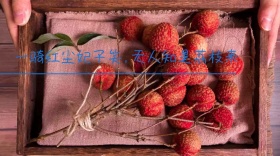 宣传创意简约公众号封面模版