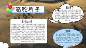 简约卡通可爱创意骆驼祥子读书小报