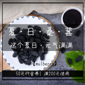 夏日水果桑葚创意简约淘宝主图