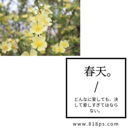 日系小清新唯美春天绿植公众号配图