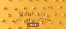 多种口味爆米花狂欢节banner图片