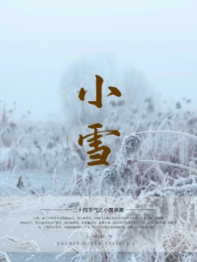 清新简约二十四节气之小雪节气海报设计