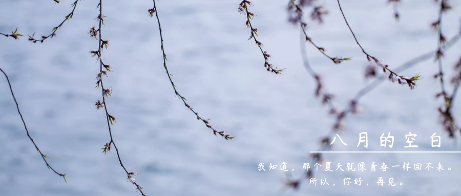空白