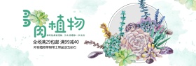 绿色手绘水彩多肉植物淘宝天猫包邮促销海报banner