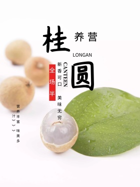 时尚桂圆美食促销海报