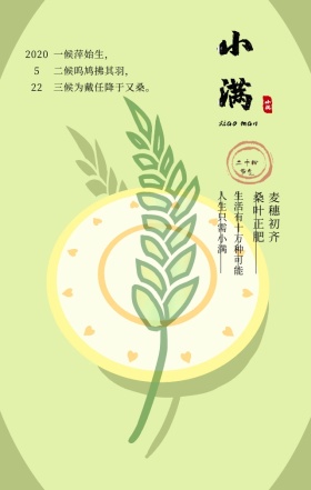 小满中国传统二十四节气简约手机海报