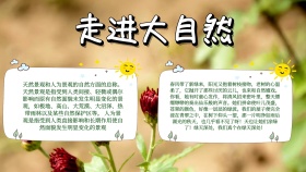 走进大自然简约清新手抄报
