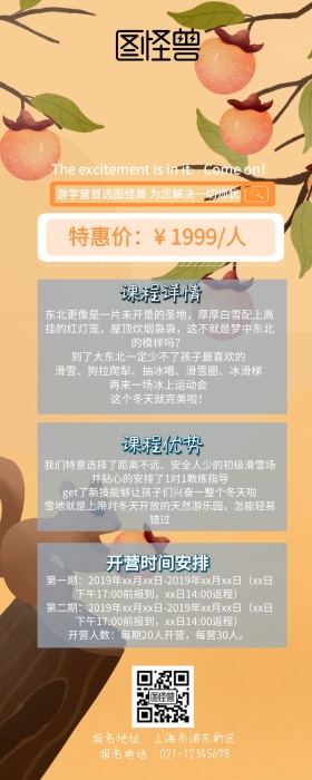 国内游学营营销长图