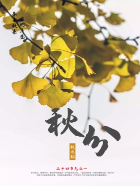 黄色水墨风二十四节气之秋分创意商业海报