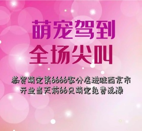 萌宠宠物可爱动物朋友圈封面