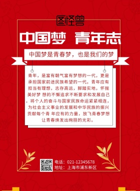 中国梦 青年志海报