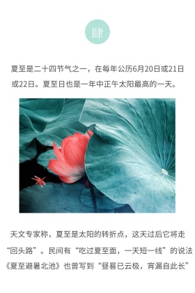 二十四节气夏至简介简约白色竖版配图