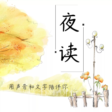栅栏