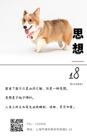 思想心情问候简约生活日签
