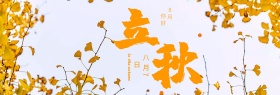 淘宝天猫电商产品秋季上新秋天秋季海报菊花金菊banner海报设计模板