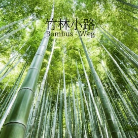 竹林小路手机微博封面