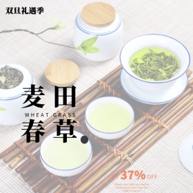 双旦植物节日活动主图直通车