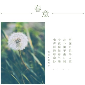 绿叶春意古风诗词小清新公众号配图