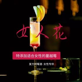 淘宝京东果酒美酒酒水直通车主图模板