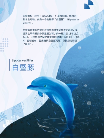 保护海洋动物海报
