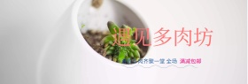 小清新手绘遇见多肉坊淘宝海报banner