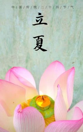 传统节气立夏荷花手绘清新海报