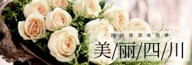 出游季美丽美丽四川创意简约淘宝海报