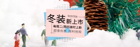 清新文艺雪花冬季冬装新淘宝banner