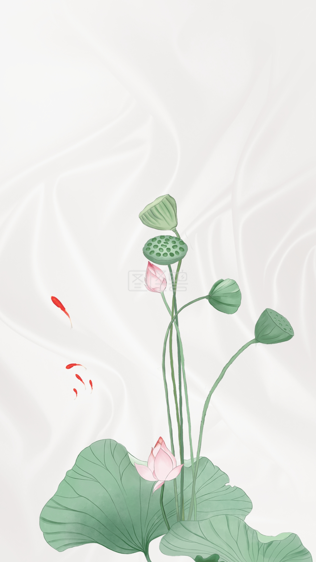 夏至节气荷花白色中国风海报