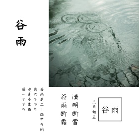 二十四节气谷雨稻田蓝天简约方形配图