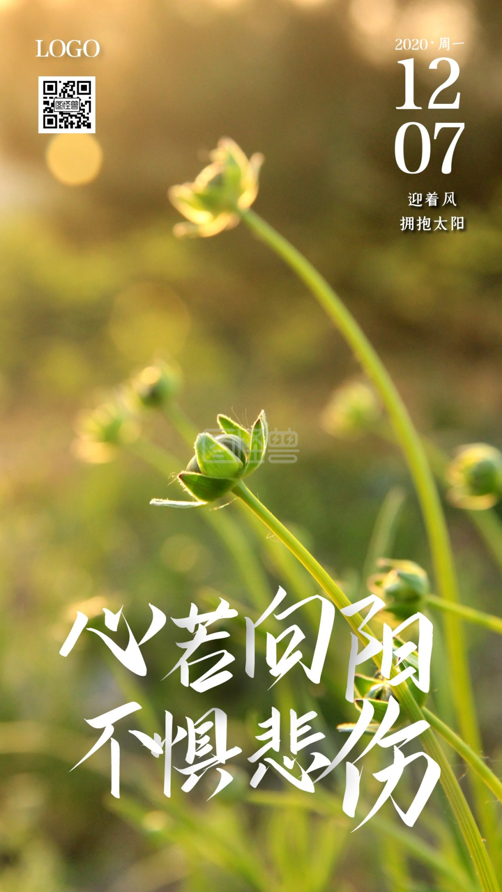 摄影周一健康阳光微信推广励志早安日签