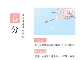 二十四节气春分米兰花蓝天简约横版配图