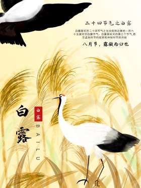 中国风24二十四节气白露节日活动创意海报