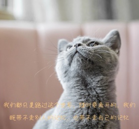 朋友圈背景