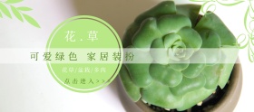 多肉狂欢节绿色简约淘宝banner