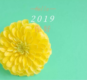 2019年你好简约朋友圈封面