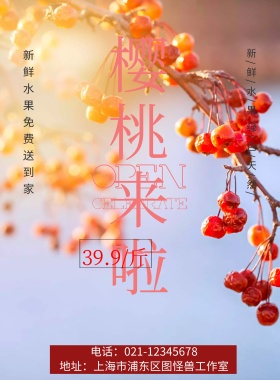 樱桃来啦 海报